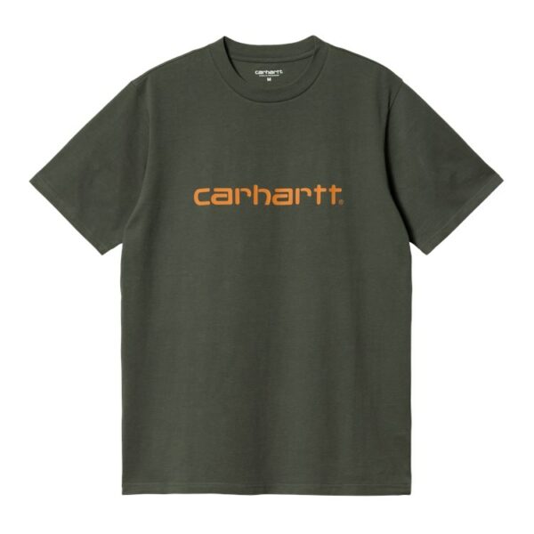 t-shirt CARHARTT WIP homme t-shirt script boxwood carhartt gris t-shirt manches courtes carhartt t-shirtcarhartt homme sport aventure à Orange
