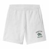 SHORT CARHARTT smart sports grey en molleton chez sport aventure à Orange