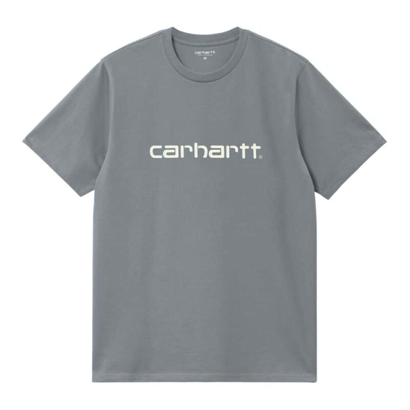 T-shirt carhartt script dove grey chez sport aventure à Orange