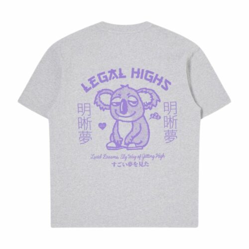 EDWIN T-shirt Legal highs grey