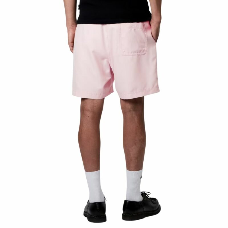 carhartt wip short chase swim