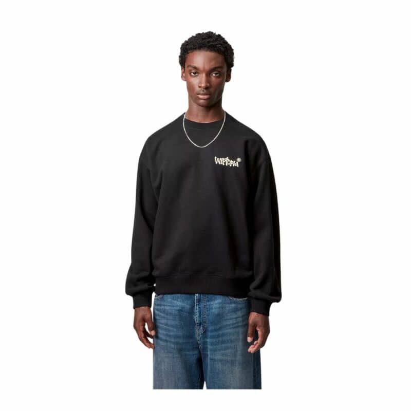 Sweatshirt Wiptopia Carhartt black chez Sport Aventure à Orange