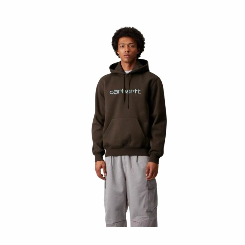 SWEAT A CAPUCHE carhartt brown vitola hooded chez sport aventure à Orange