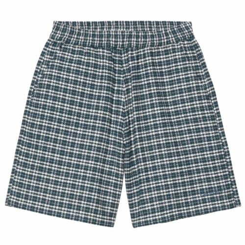 CARHARTT WIP short kander blue