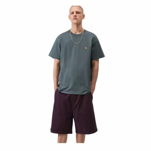 CARHARTT Chase t-shirt cozy blue