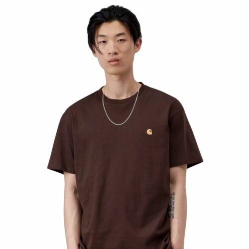 CARHARTT Chase t-shirt palisander