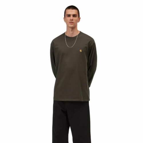 CARHARTT Chase t-shirt M/L shungite