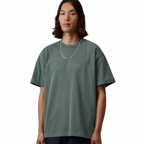 CARHARTT WIP Boxed t-shirt scarabée
