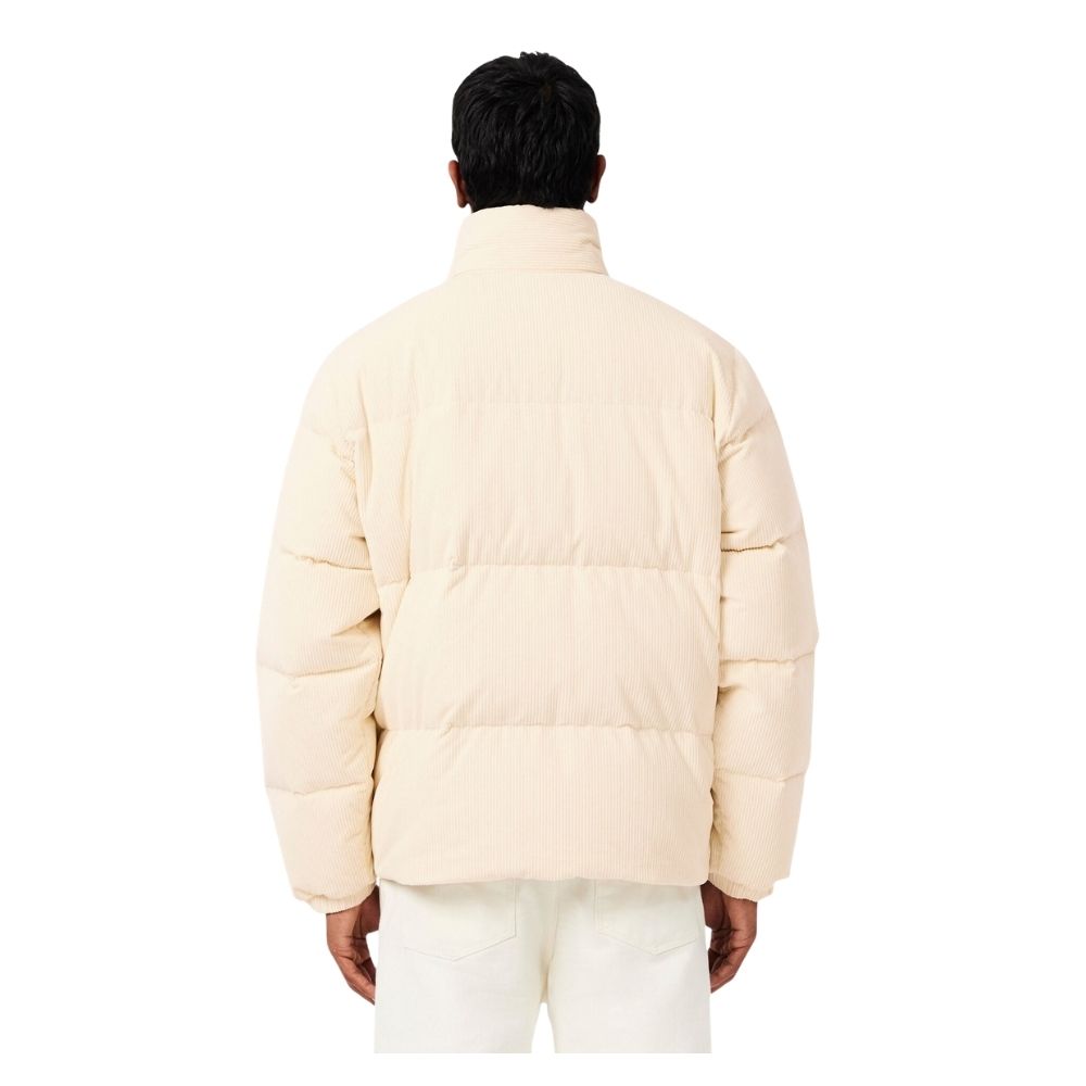blouson doudoune lacoste en velours cotelé écru BH8701 chez sport aventure à Orange