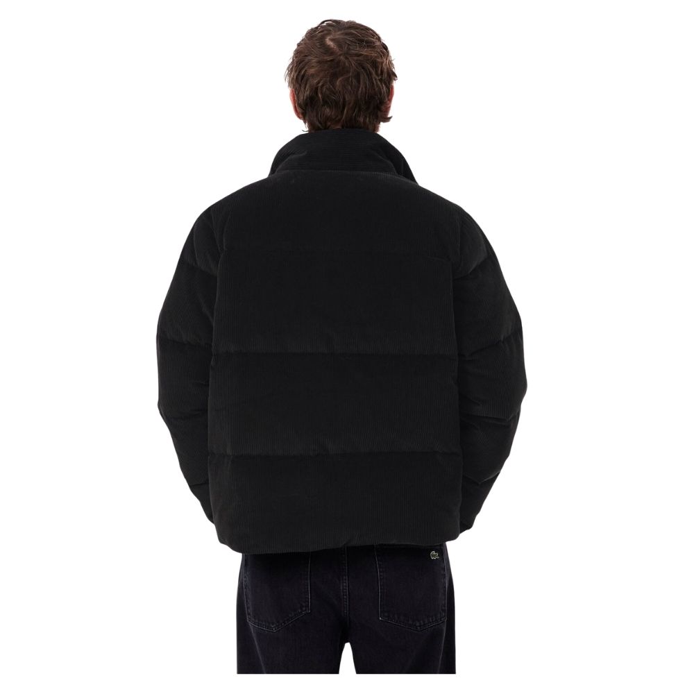 Adoptez un style à la fois élégant et décontracté avec la doudoune Lacoste velours noir. BH8701 a retrouver chez sport aventure à Orange